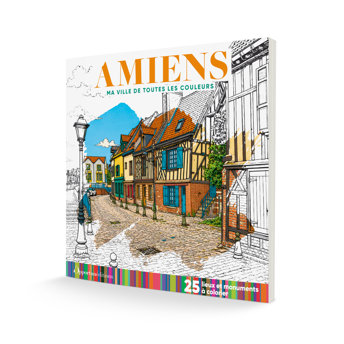 Couv 3D Amiens