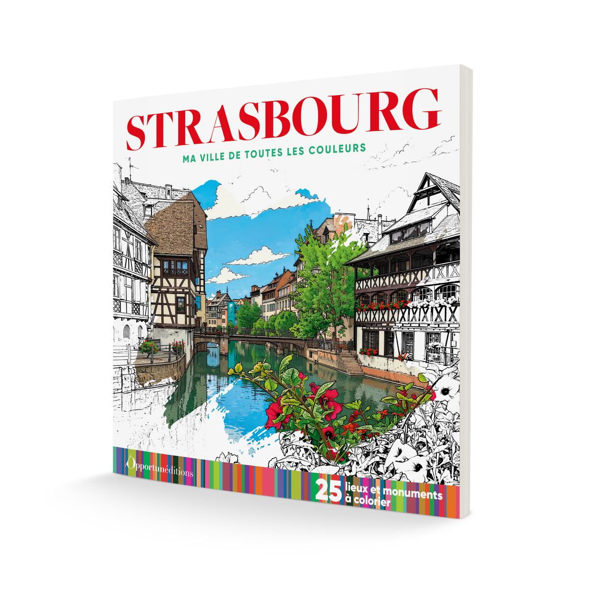 Couv 3D Strasbourg